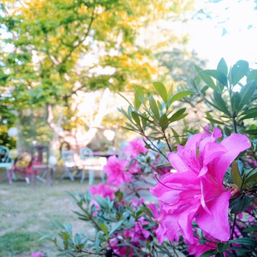 Domaine De La Clef Des Champs Bed & Breakfast Limeray ภายนอก รูปภาพ