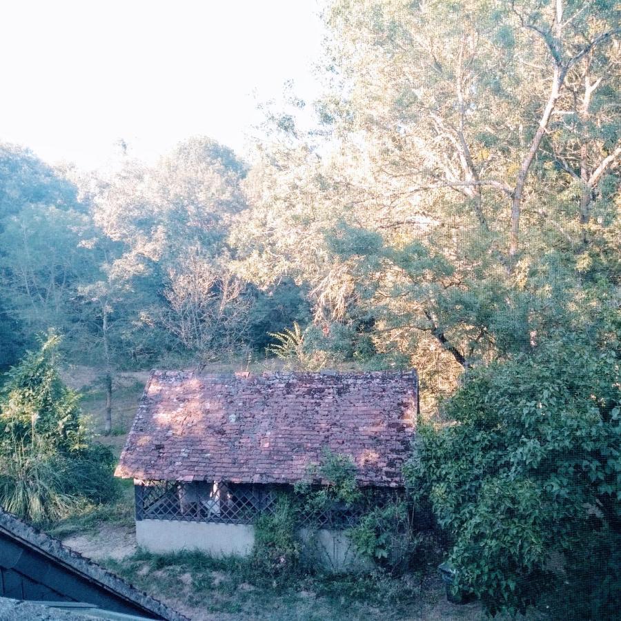 Domaine De La Clef Des Champs Bed & Breakfast Limeray ภายนอก รูปภาพ